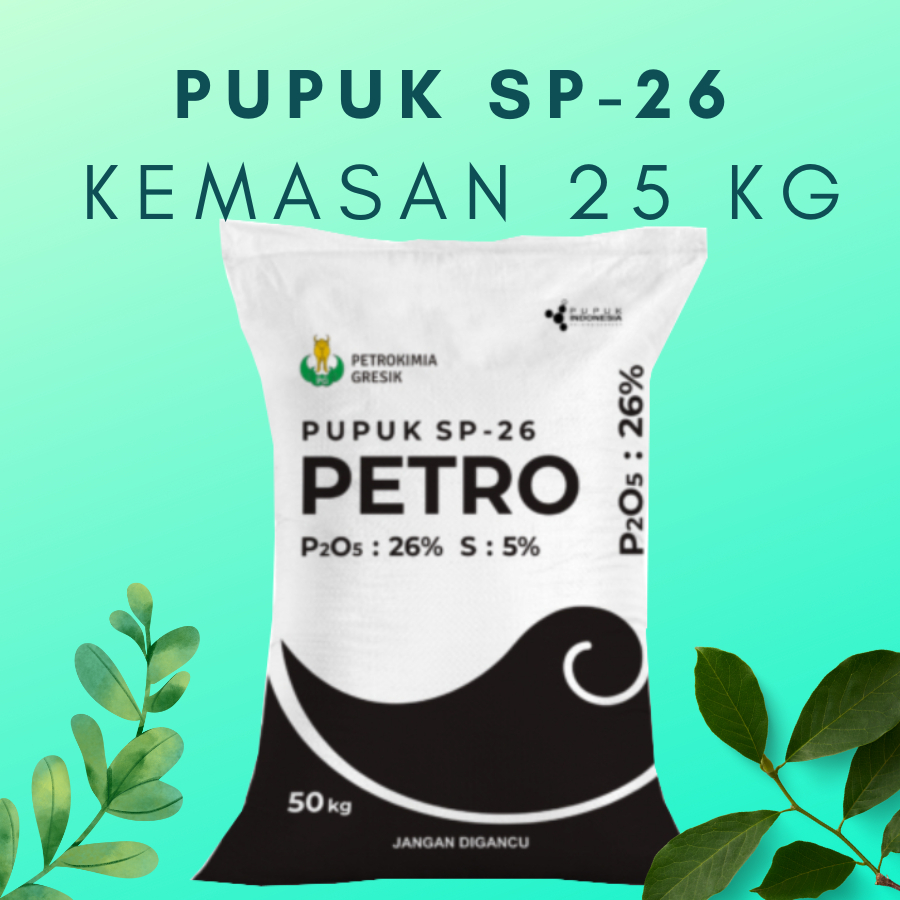 Petrokimia Gresik | Pupuk SP-26 Petro | Pupuk Tinggi Fosfor | Merangsang Pertumbuhan Akar dan Mening