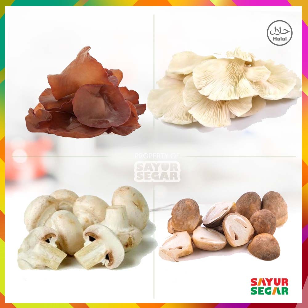 

Aneka Jamur Tiram / Jamur Kancing / Jamur Merang / Jamur Kuping [250g]