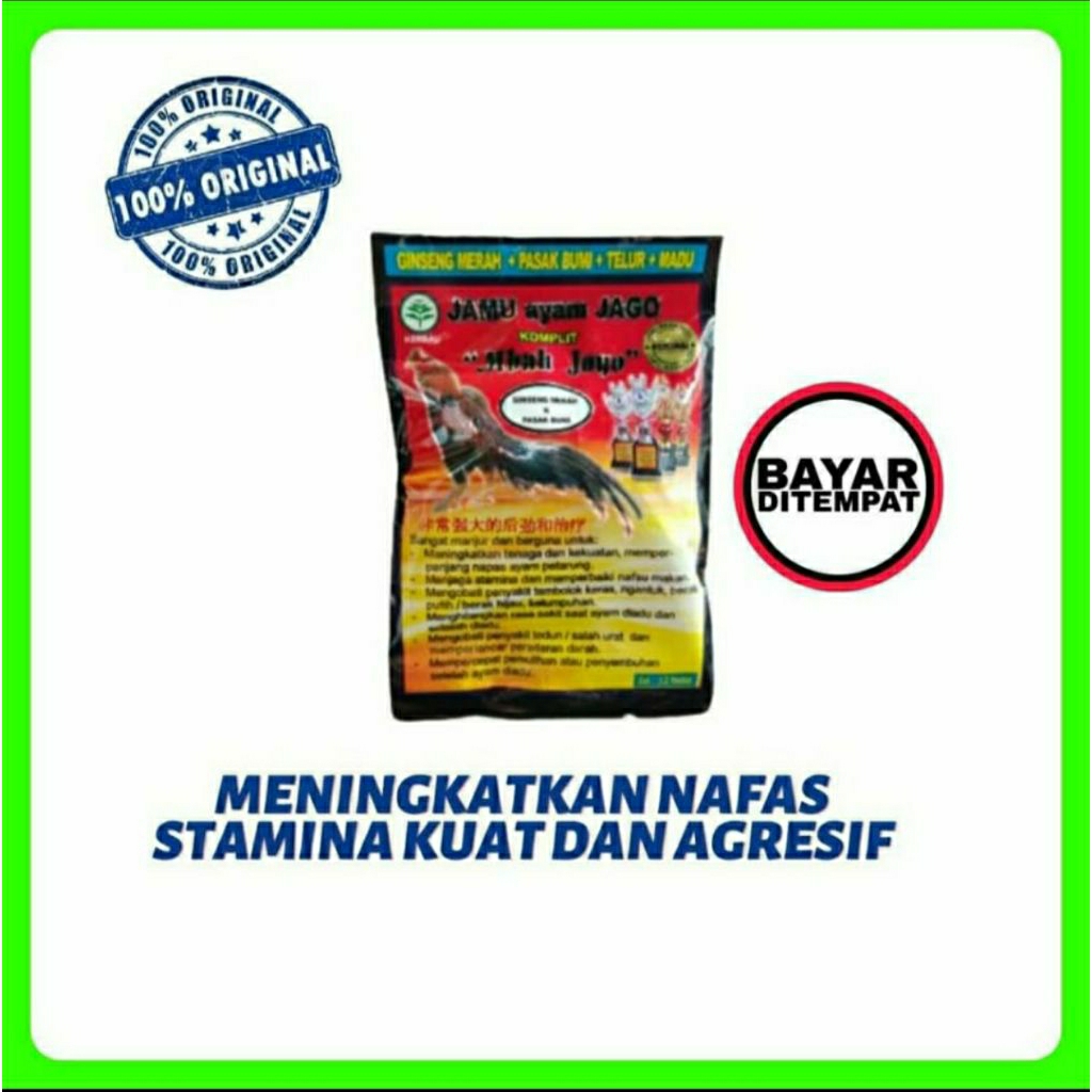 

Salep Benjolan