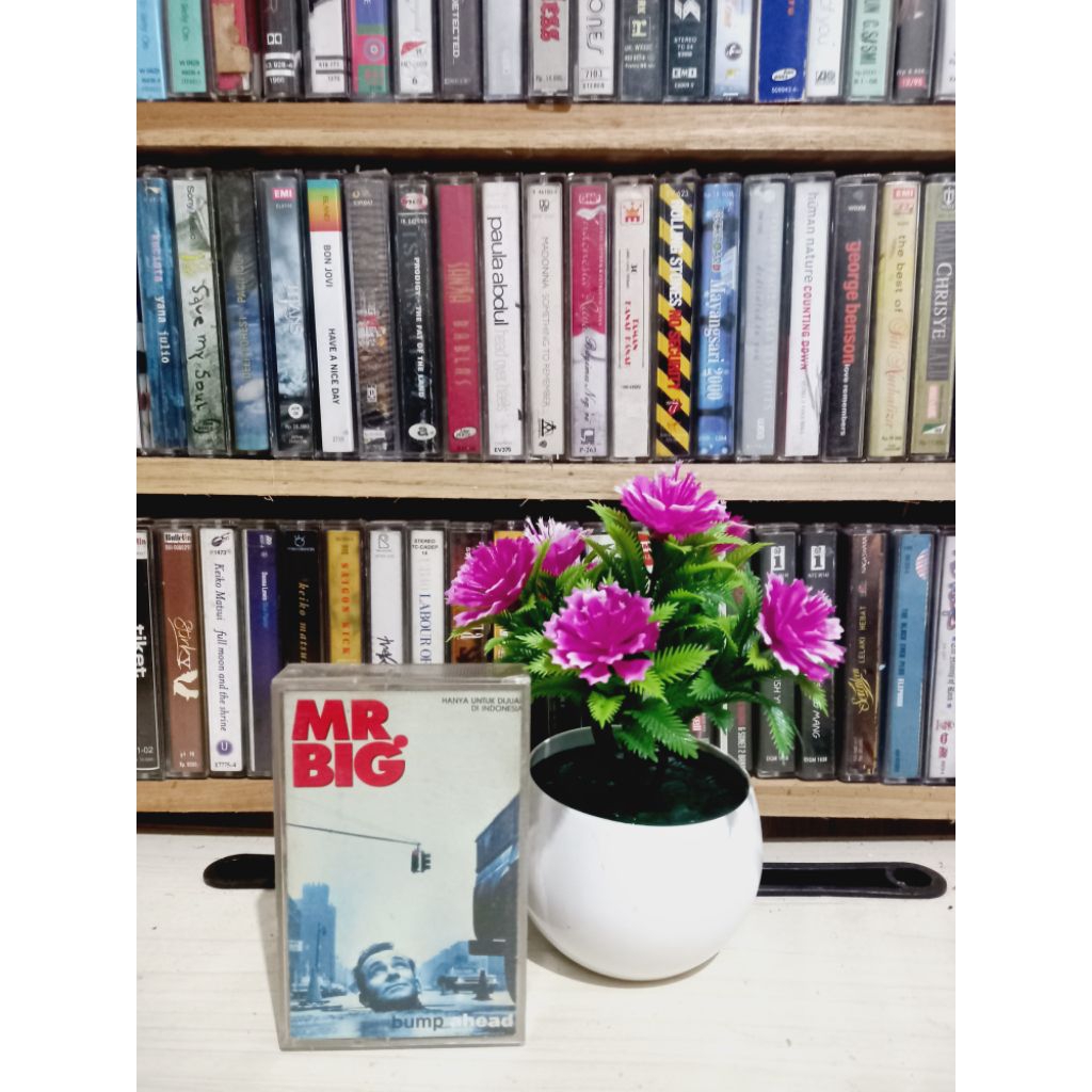KASET MR BIG BUMP