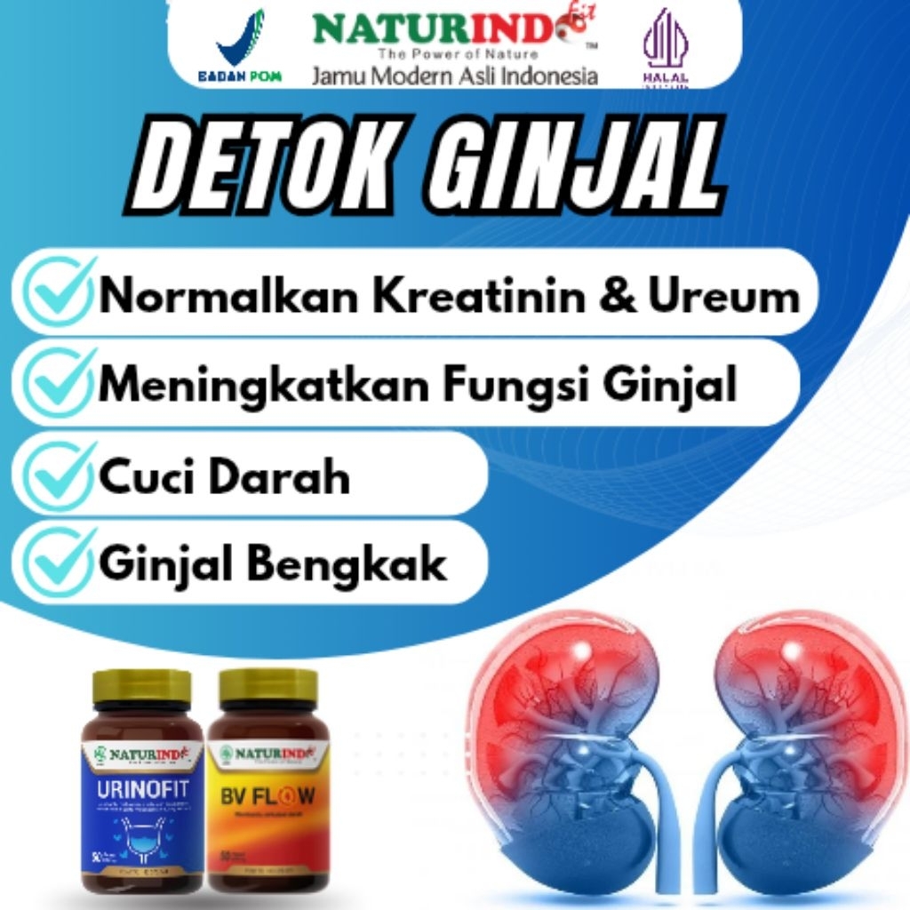 Obat Detok Ginjal Gangguan Fungsi Ginjal Pembersih Ginjal Herbal Naturindo