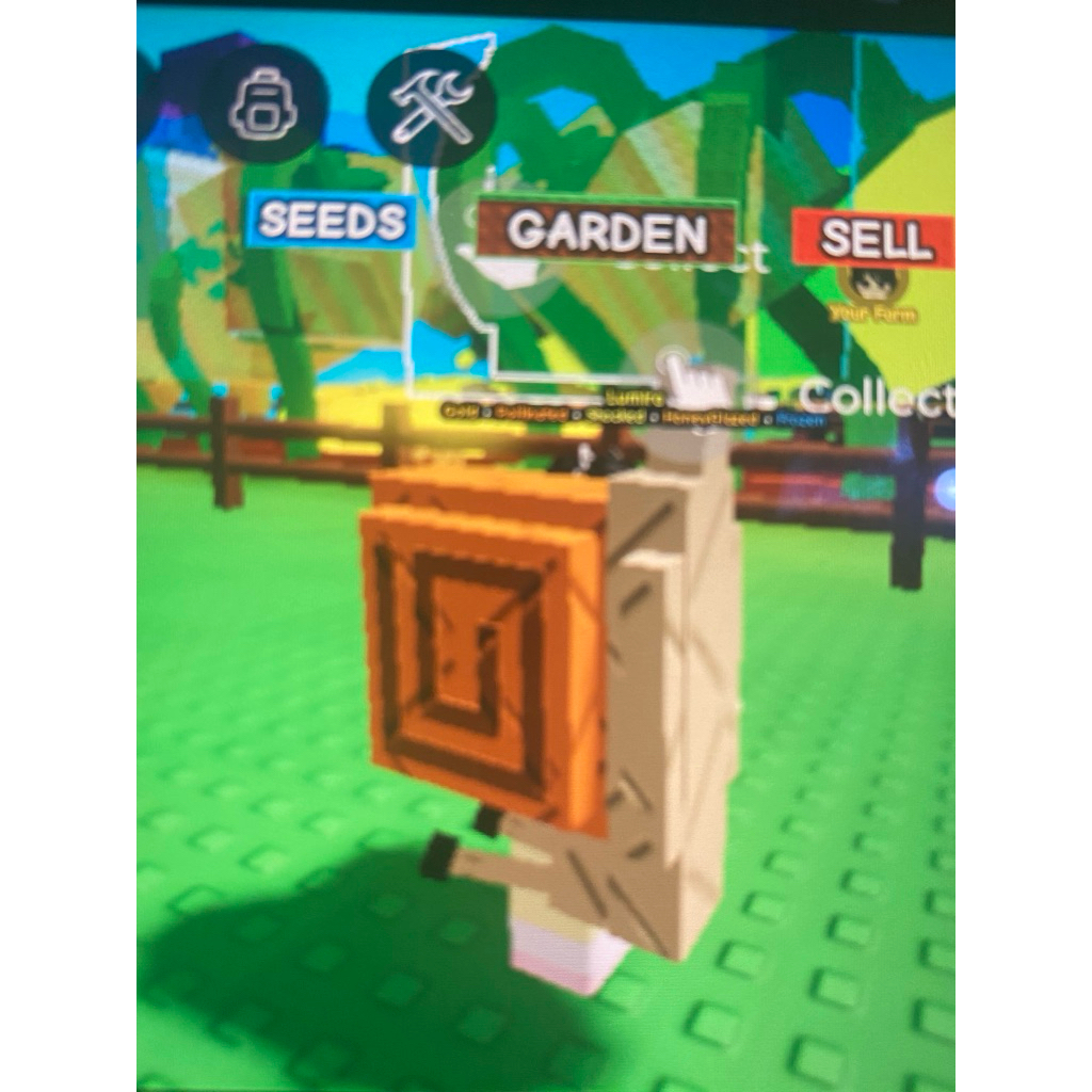 PET SNAIL GROW A GARDEN