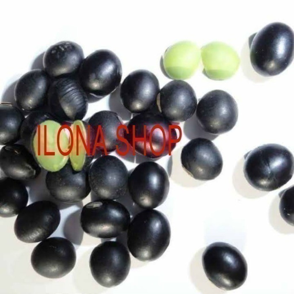 KACANG KEDELAI HITAM PREMIUM IMPORT 500GR/KEDELAI HITAM KERING SOYBEAN