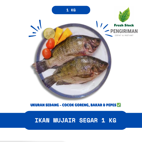

IKAN MUJAIR SEGAR 1 KG | FreshStock