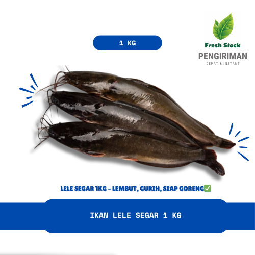 

IKAN LELE SEGAR 1 KG | FreshStock
