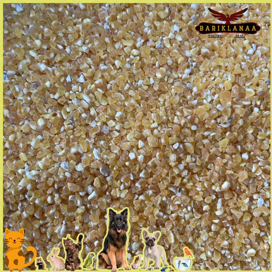 JAGUNG MENIR 25KG - PAKAN AYAM/ BURUNG DARA BERAS JAGUNG/ JAGUNG MENIR KEMASAN 25KG