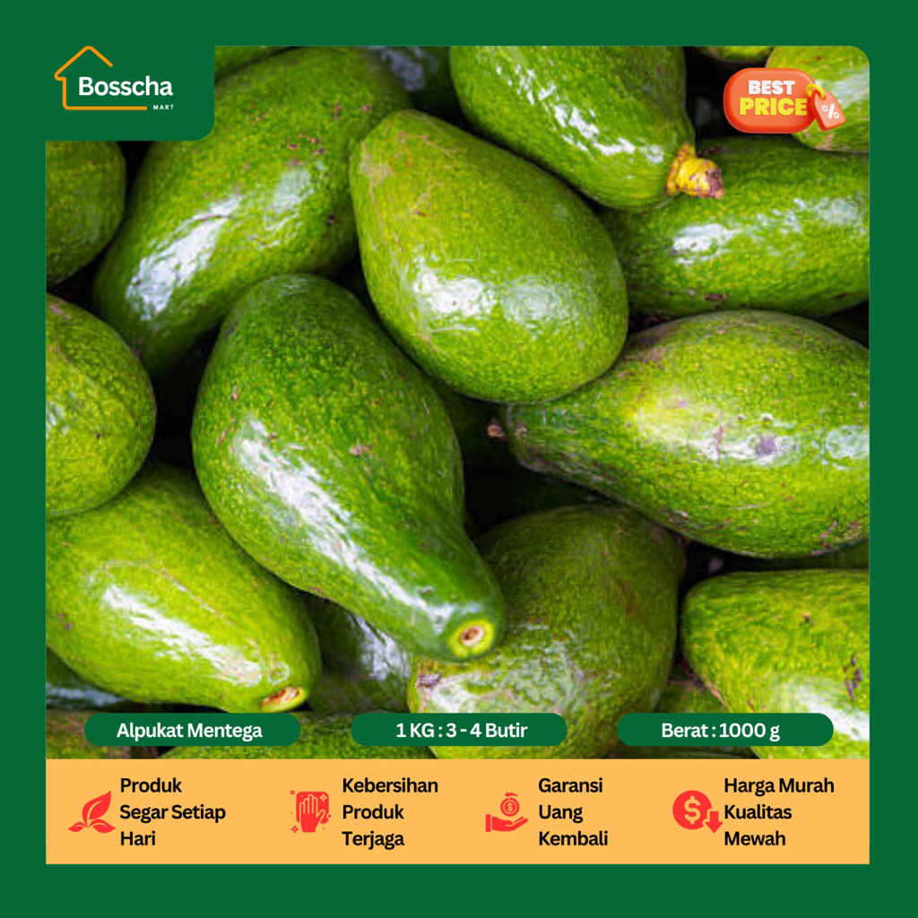 

Alpukat Mentega [ isi 3 - 4 butir ] - Buah Alpukat Mentega