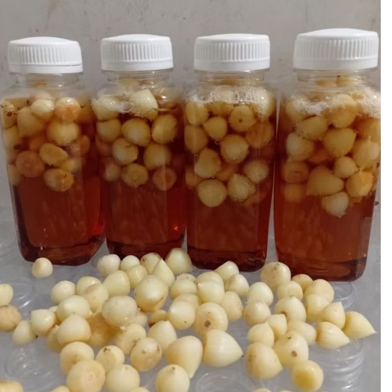 

madu bawang tunggal/bawang lanang 350 gram