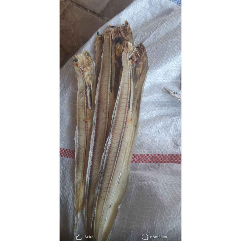 

Ikan Asin Layur Belah Kering 1 KG