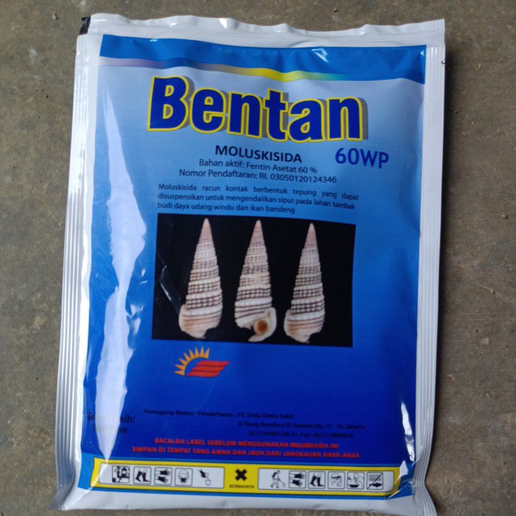 moluskisida bentan kemasan 100 gram