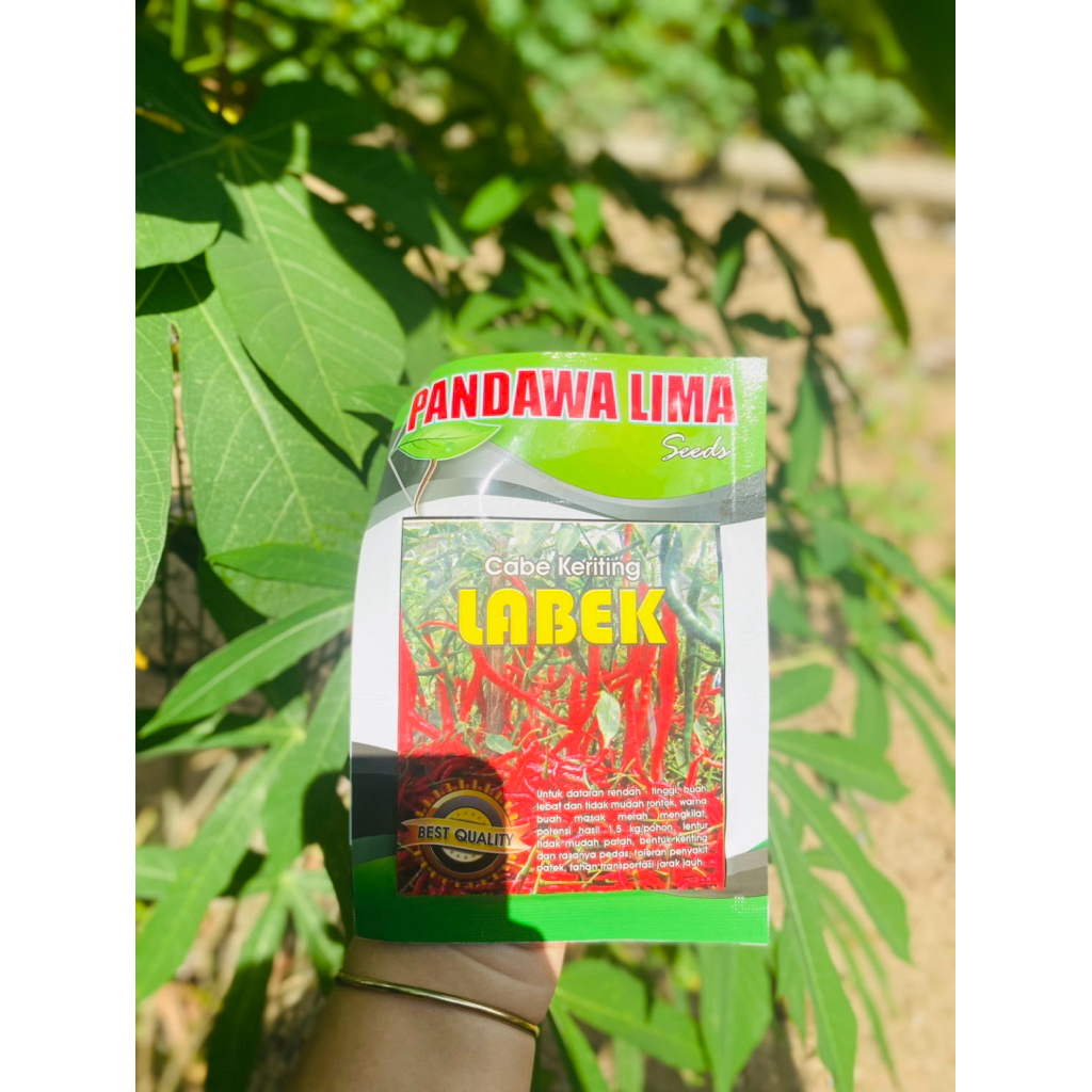 

LABEK (cabe kriting)