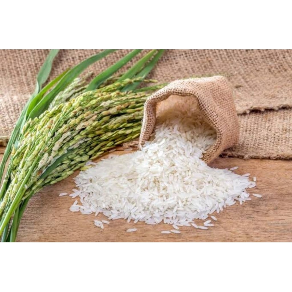 

Beras contoh pulen wangi 10 butir