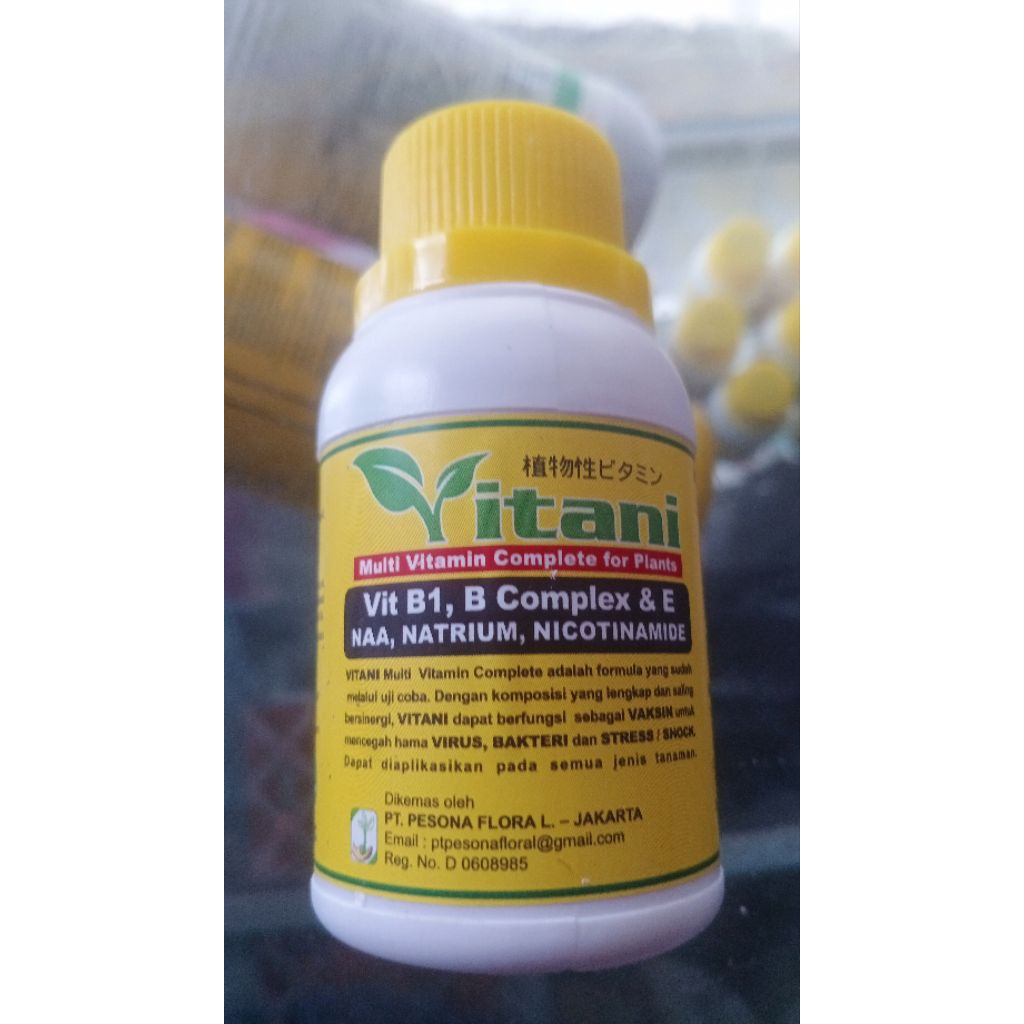 VITAMIN B1 TANAMAN VITANI 100 ML