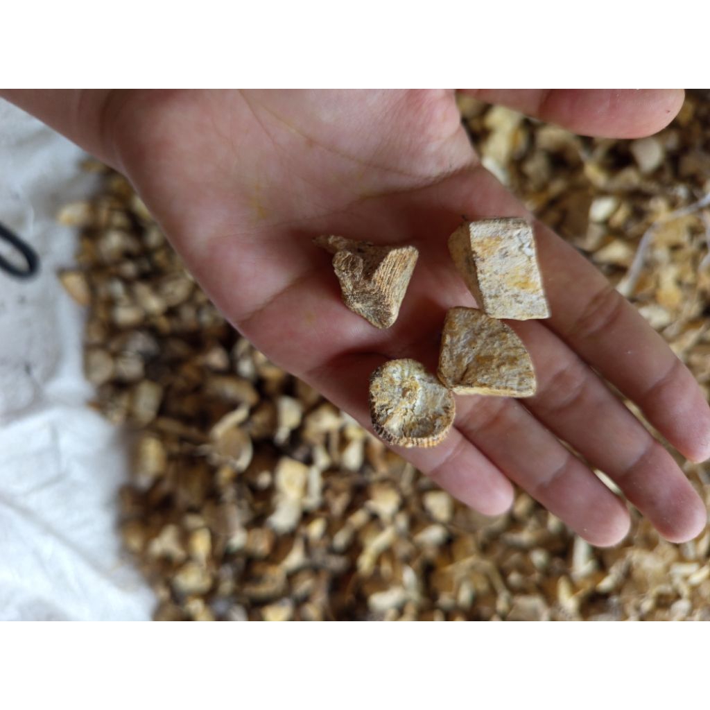 

Gaplek singkong kering 1Kg