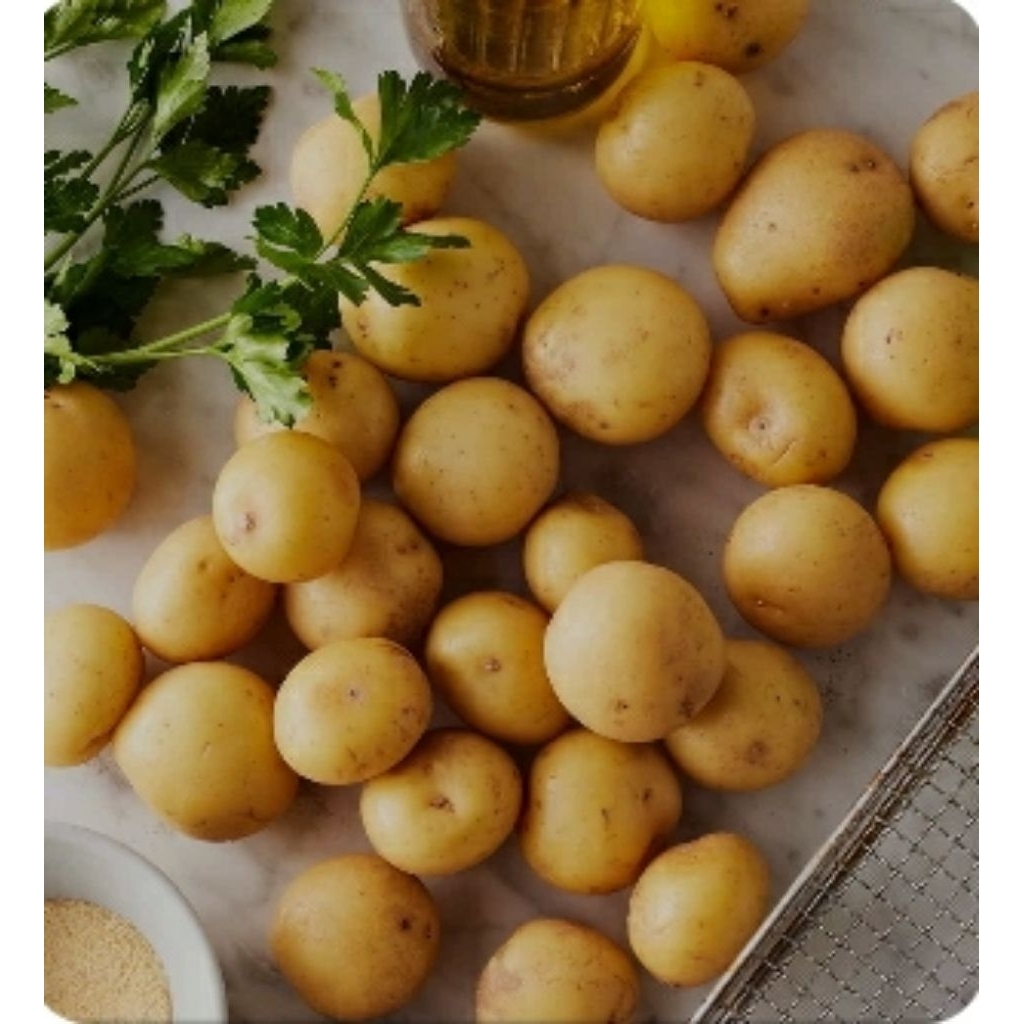 

JUAL BABY KENTANG ISI 500GR