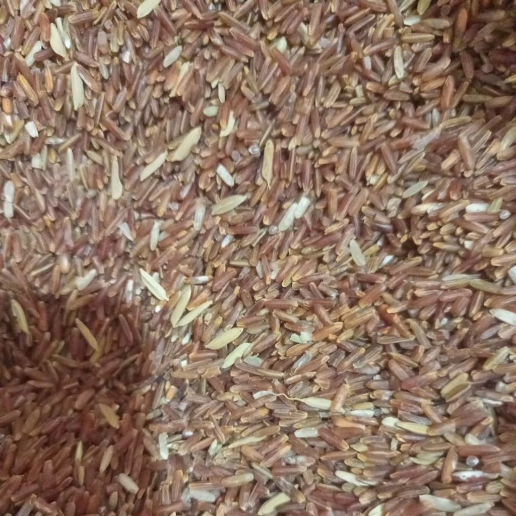 Beras merah untuk ayam kemasan (5kg)