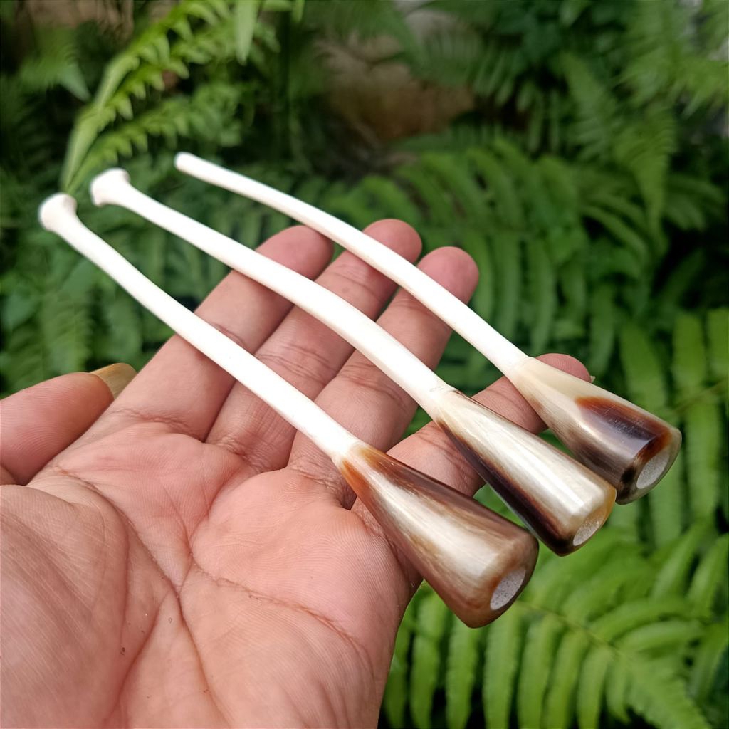 Once Pipa Cangklong Tulang Kalong Asli _ Panjang 17-18cm