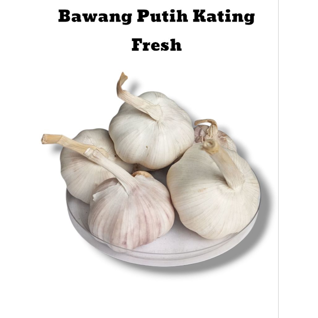 

Bawang Putih Kating rasa lebih gurih