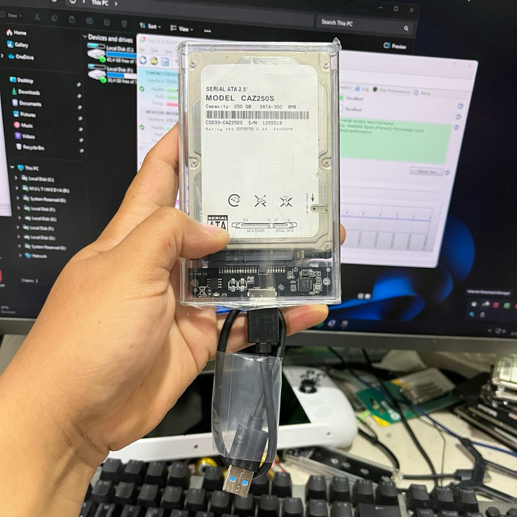 HARDDISK EKSTERNAL SATA 250GB SENTINEL 99%