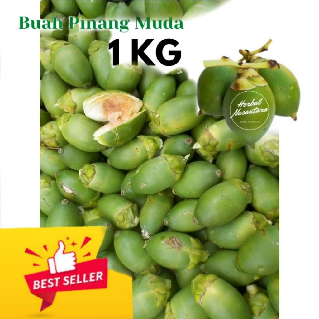 

Buah Pinang / Pinang Muda / Buah Jambe Muda/ 1Kg Jantan gagah perkasa