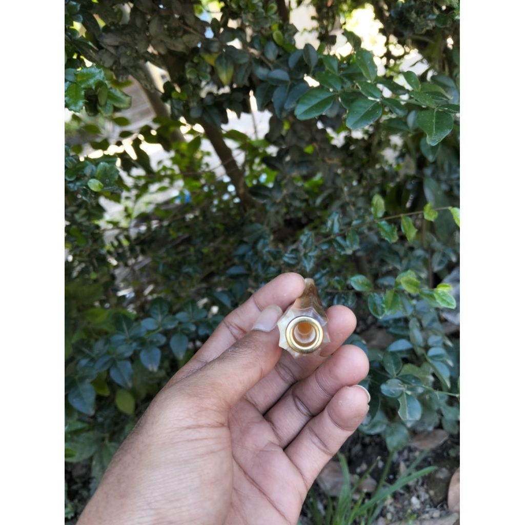 Glaciaamart Once Pipa Tanduk Kerbau Asli Model Bulat Blimbing Warna Putih/Bule Dengan Panjang 12Cm