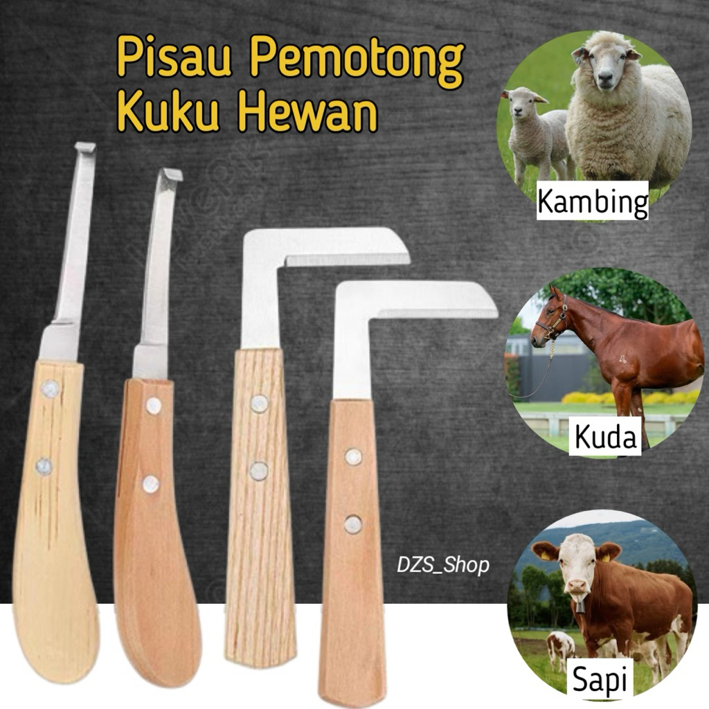 Pisau Potong Kuku Kambing Kuda Sapi Kerbau Super Tajam