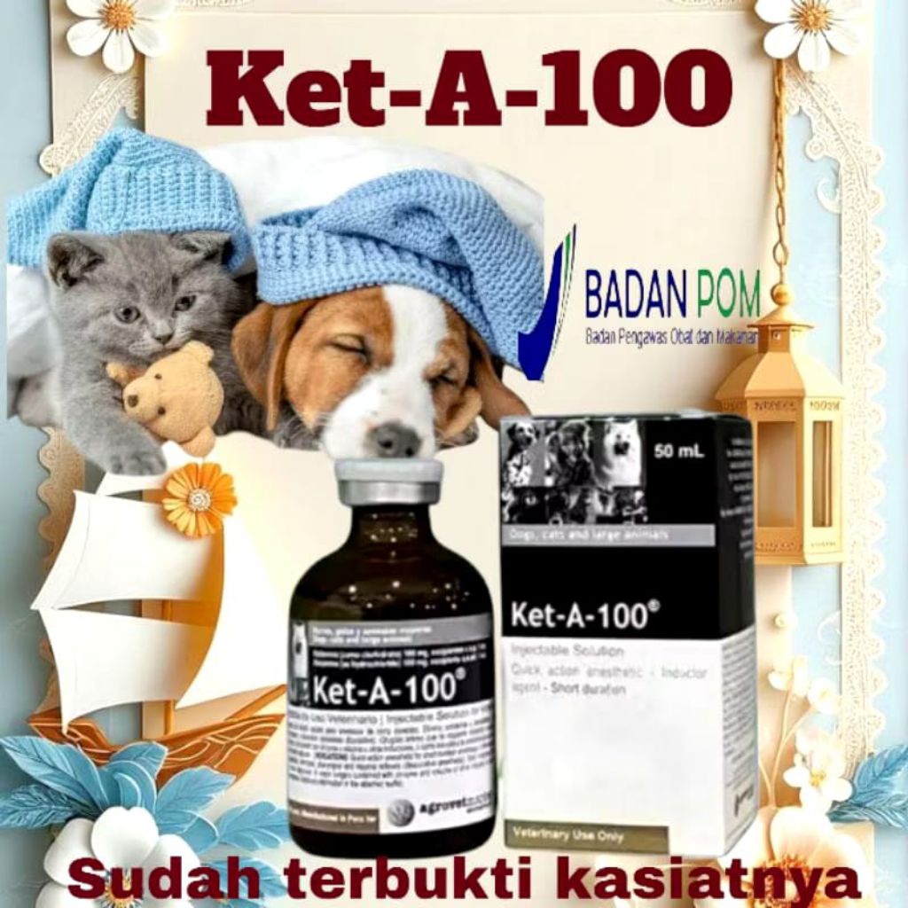 KET-A 100 Obat Untuk Hewan Asli Original