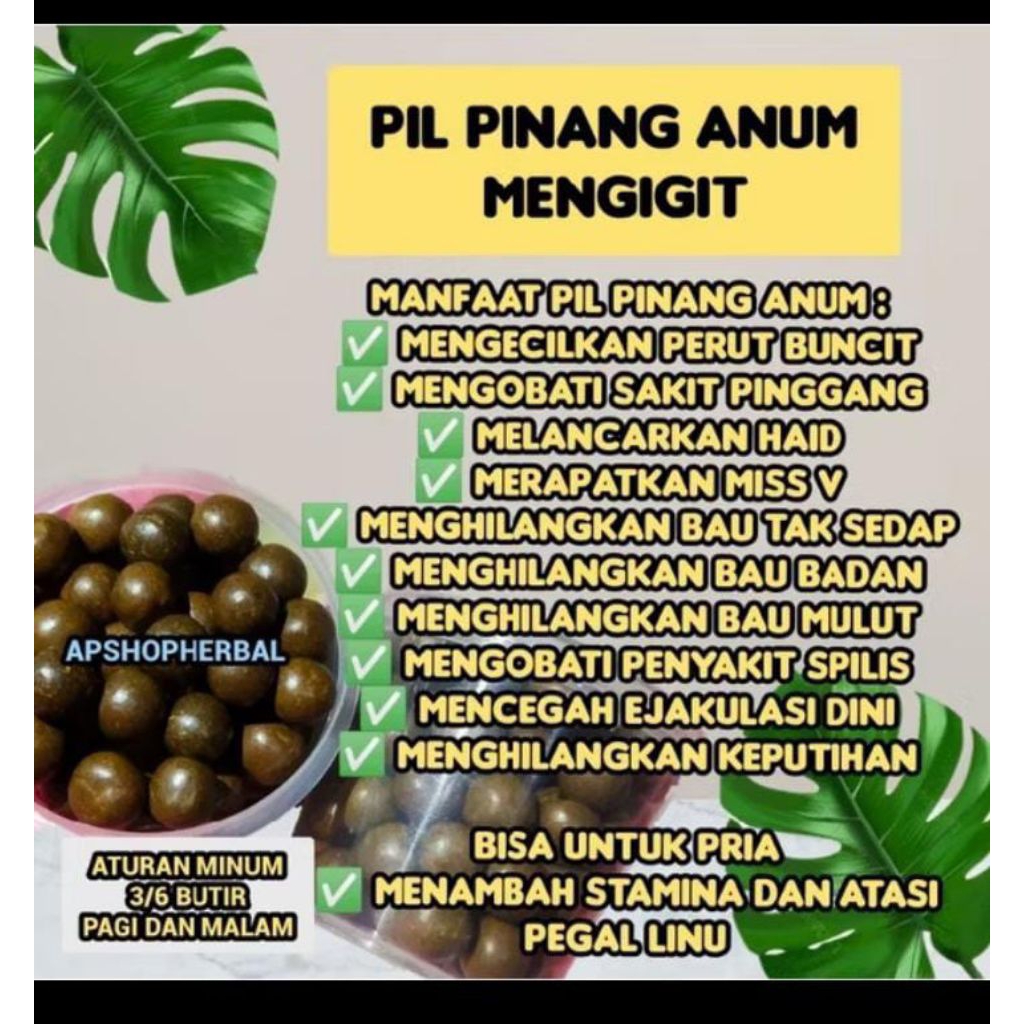 

pil akar pinang