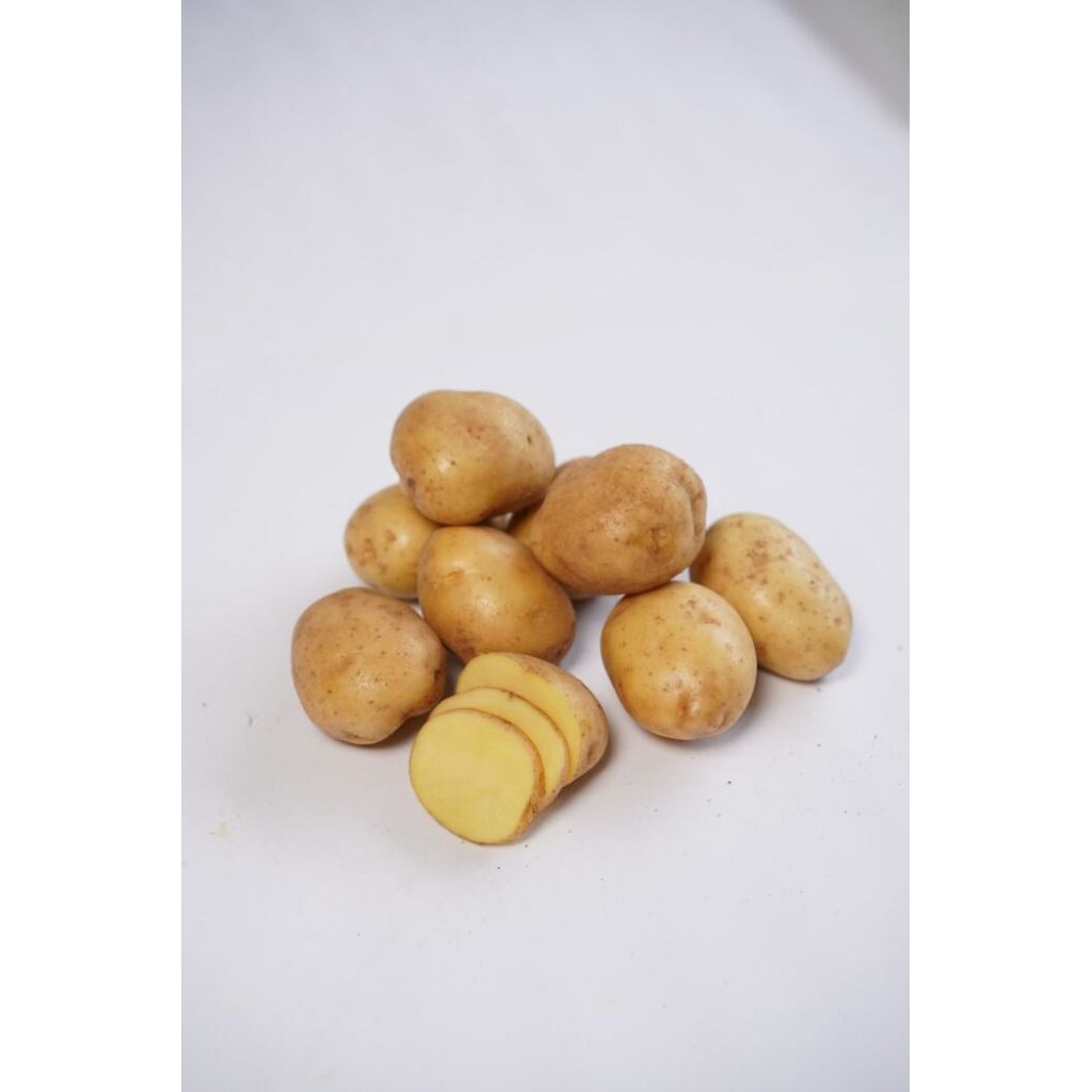 

kentang segar super 1 kg