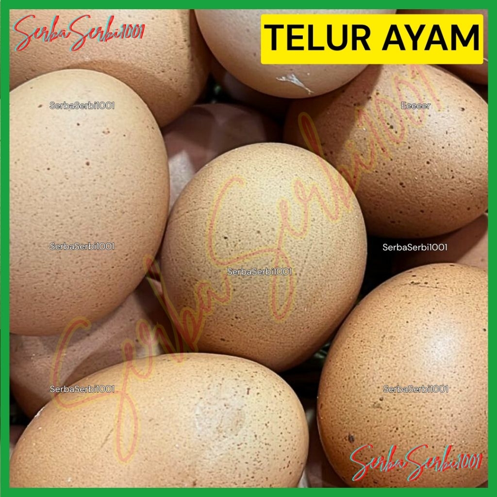 

TELUR AYAM NEGERI | TELUR KAMPUNG | TELOR