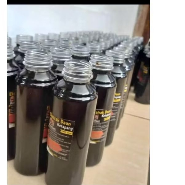 Air ekstrak Daun Ketapang air dari daun Ketapang air hasil permentasi daun Ketapang air daun Ketapan