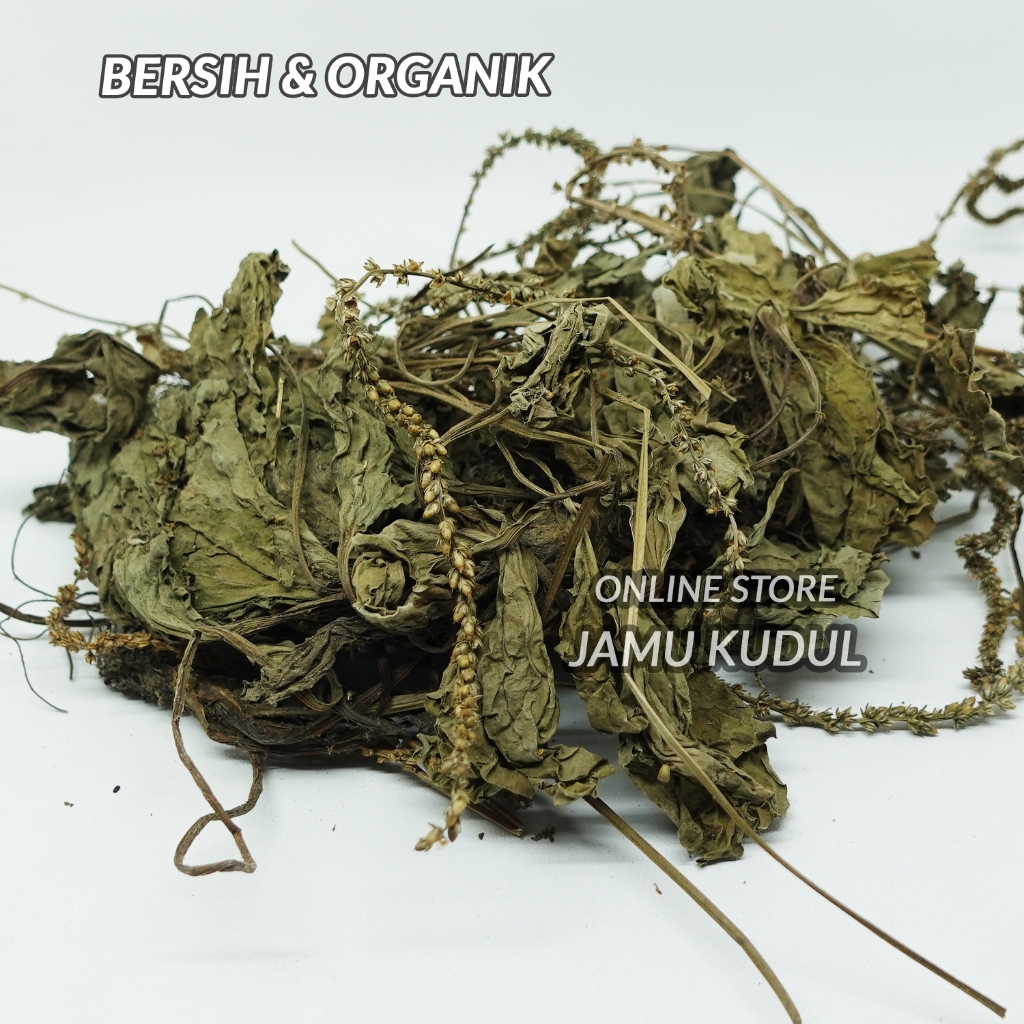 

Daun Sendok Kering 1kg Ki urat Sendokan Asli Liar
