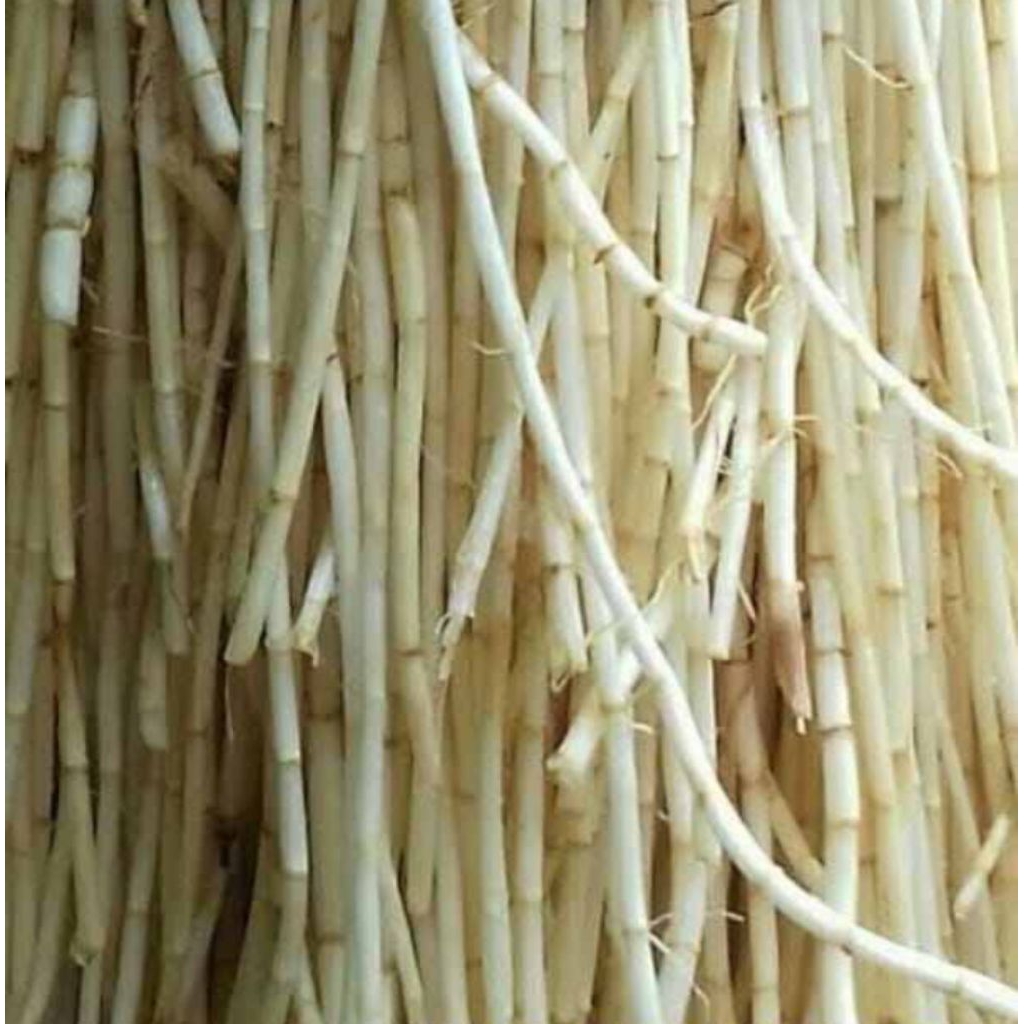 

AKAR ALANG ALANG AKAR ILALANG AKAR ERIH 500 GRM