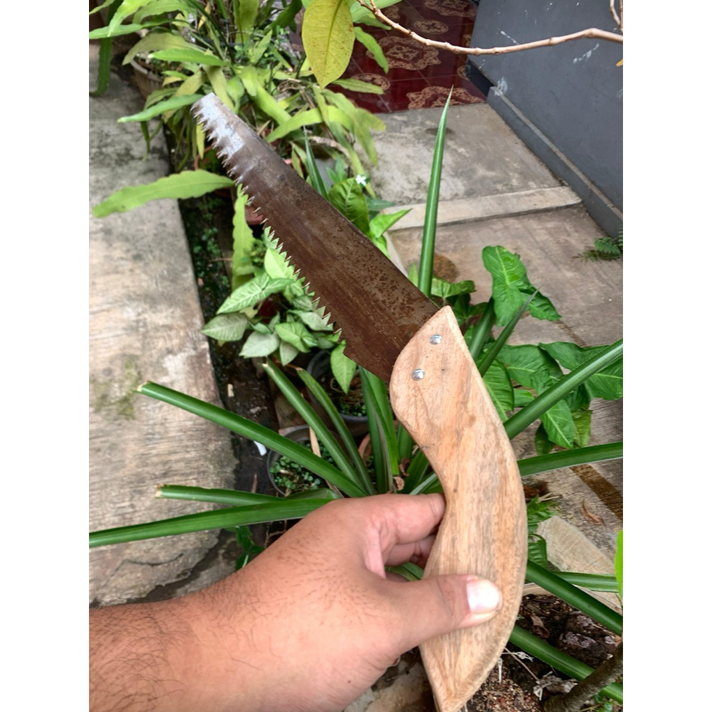 Ready Gergaji peruning ex selendang gergaji