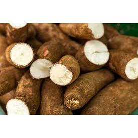 

Singkong 1kg - Sayur Nusantara KIRIM INSTANT