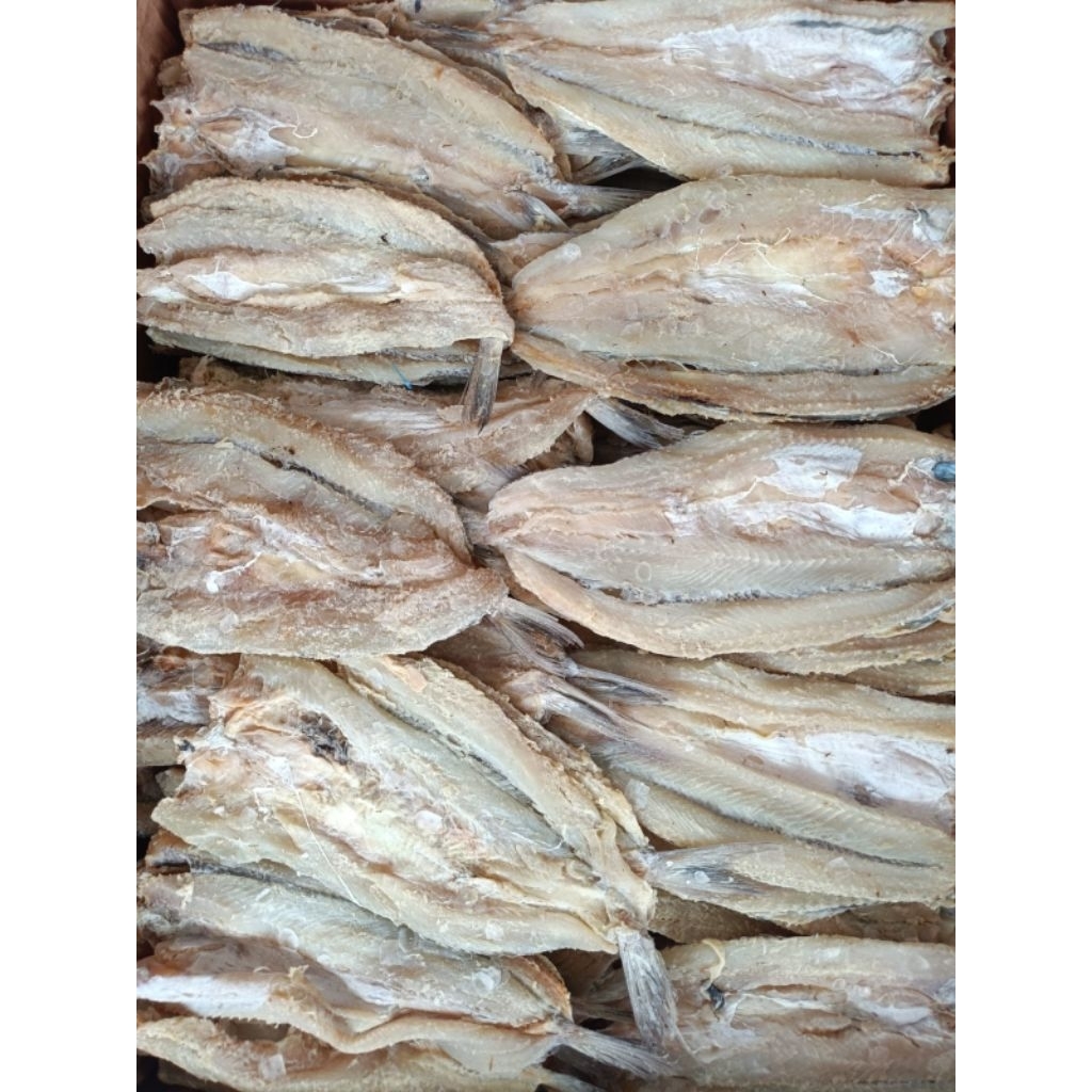 

IKAN ASIN BLOSO 1 KG Kwalitas bagus super premium