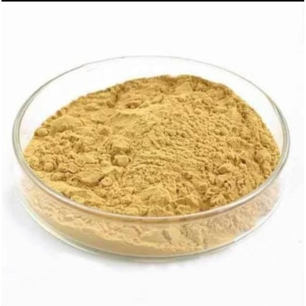 

Beef Extract Powder 100 gram / Kaldu Sapi Bubuk 100gram HALAL