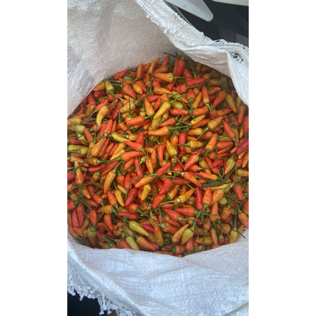 

cabe rawit 1kg atau 1000g