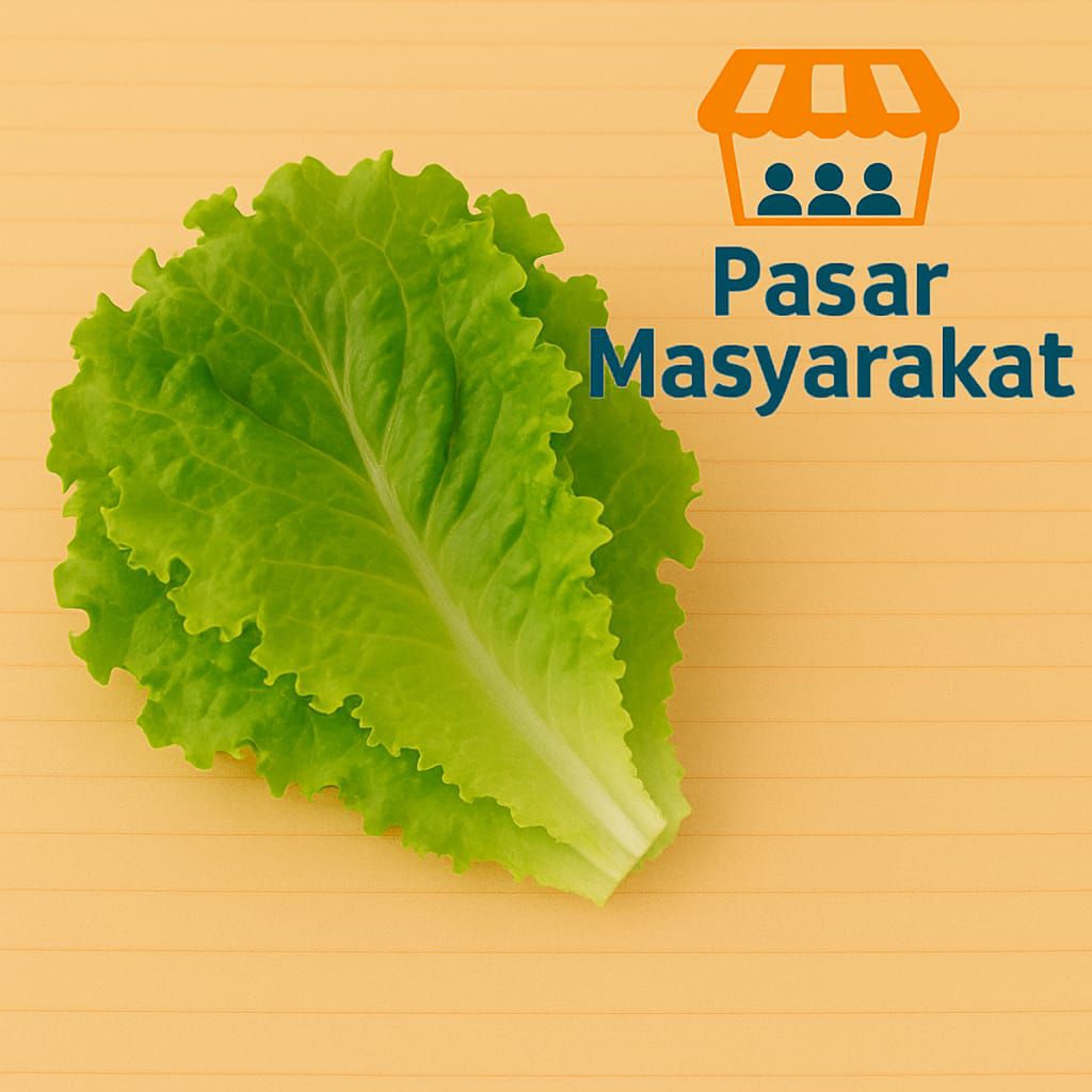 

Selada Sayuran Segar 1 Ikat Pasar.Masyarakat