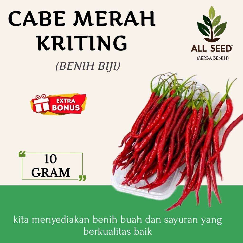 ( 10 gram ) Benih cabe merah kriting, bibit cabe kriting
