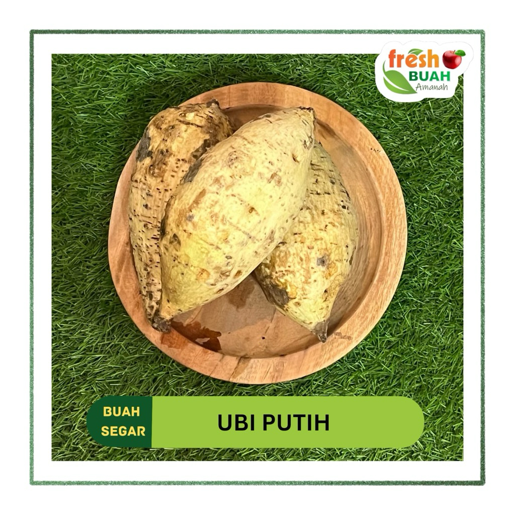 

Ubi Jalar Putih | Ubi Putih 1 kg | Umbi-Umbian | Fresh Buah Amanah