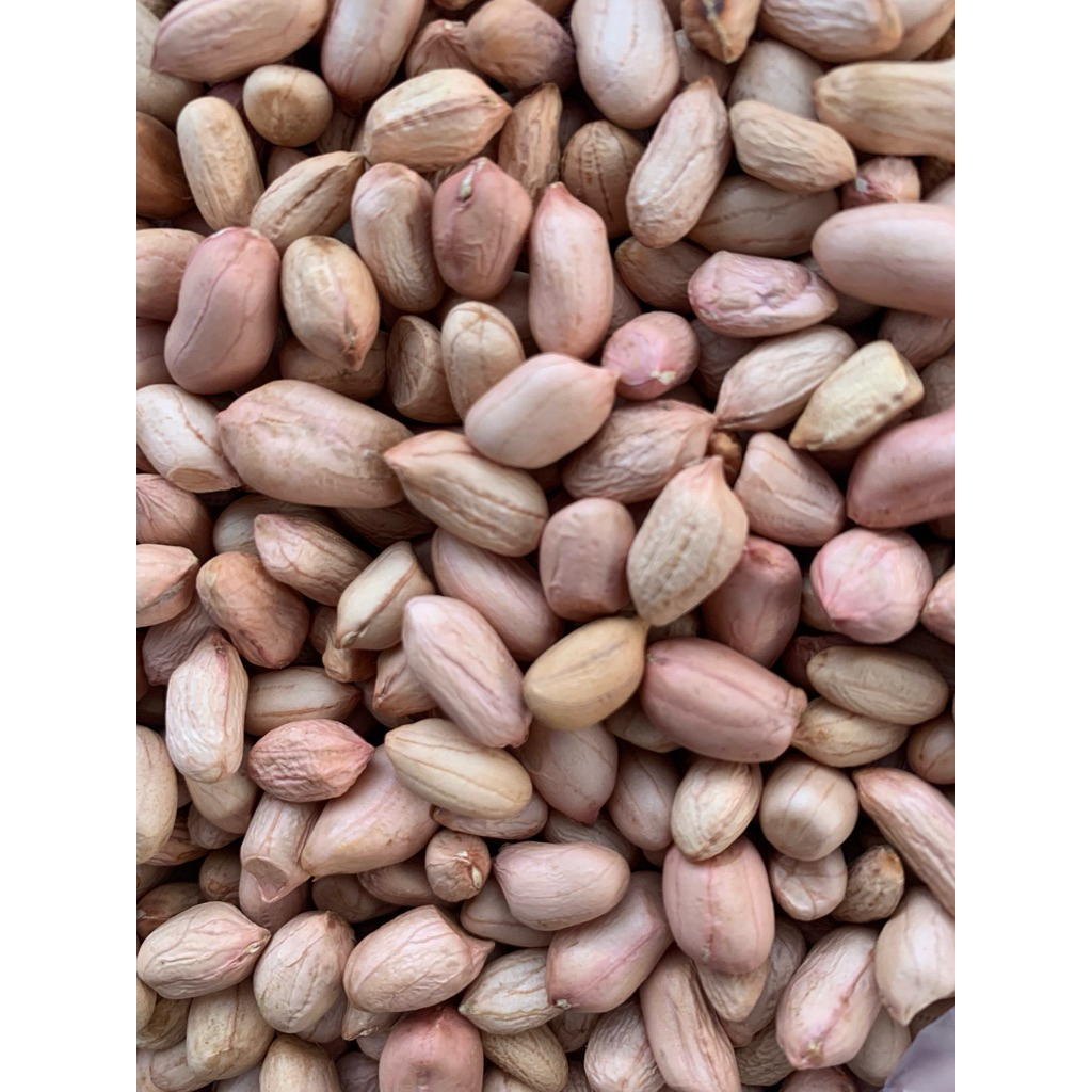 

kacang madura 1 kg
