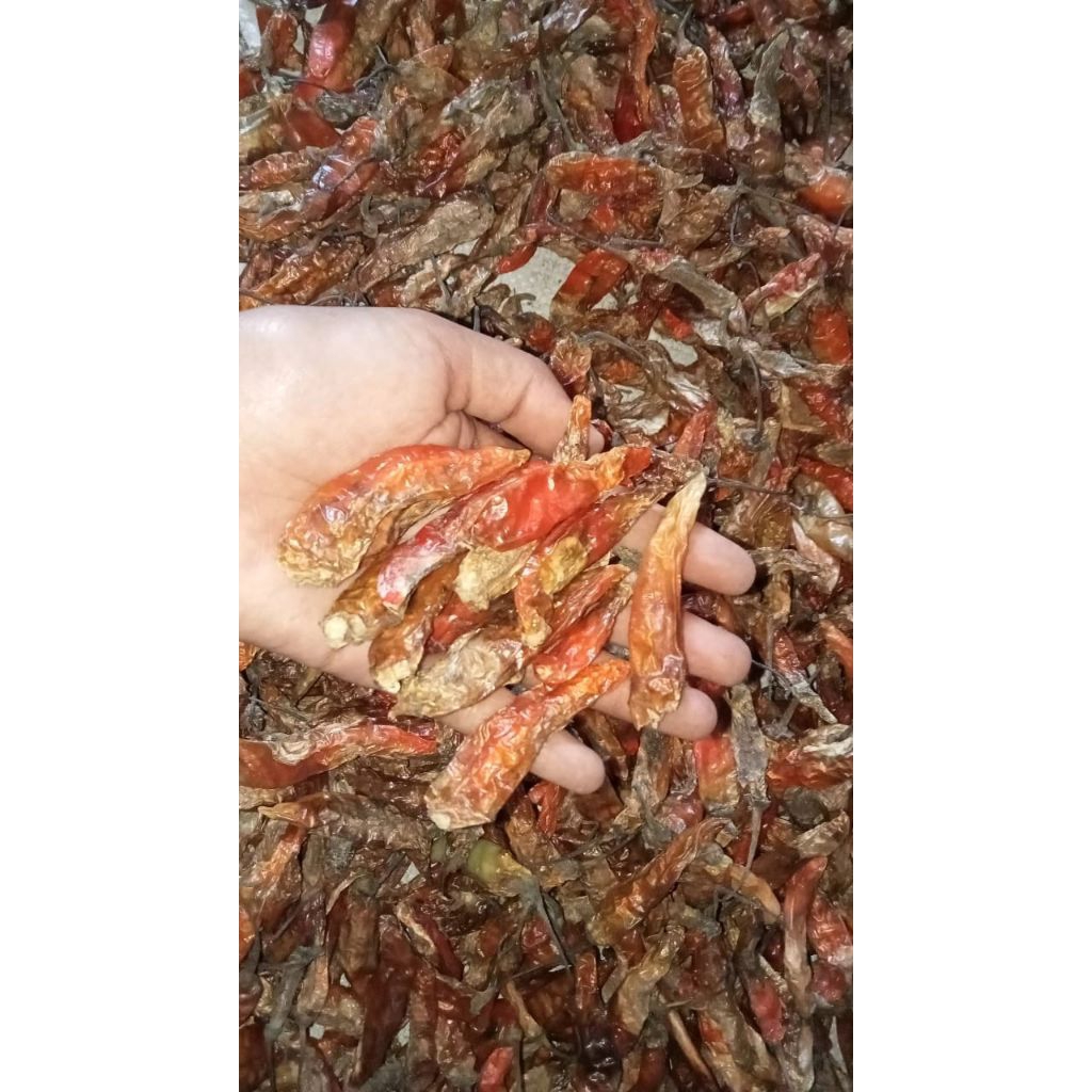 

cabe rawit kering 250gr/500gr/1kg
