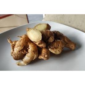 

KENCUR SEGAR 1KG KENCUR BESAR PEDAS