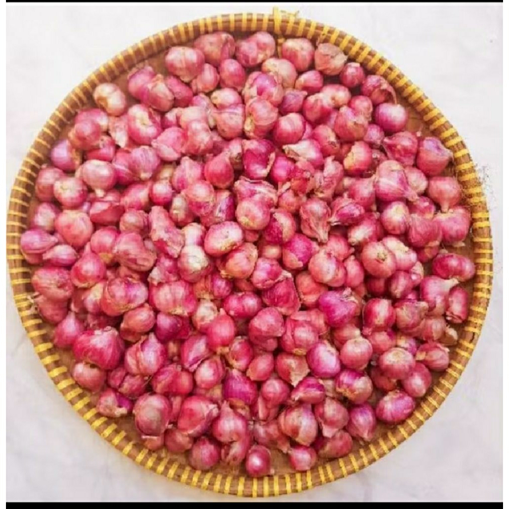 

BAWANG MERAH SEGAR UKURAN SEDANG 250 GR