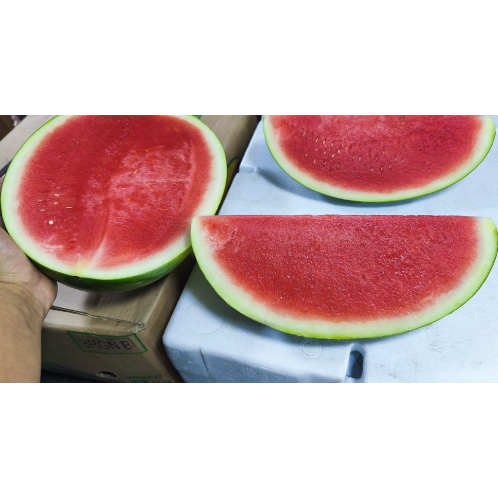 

Semangka Merah Non biji potongan