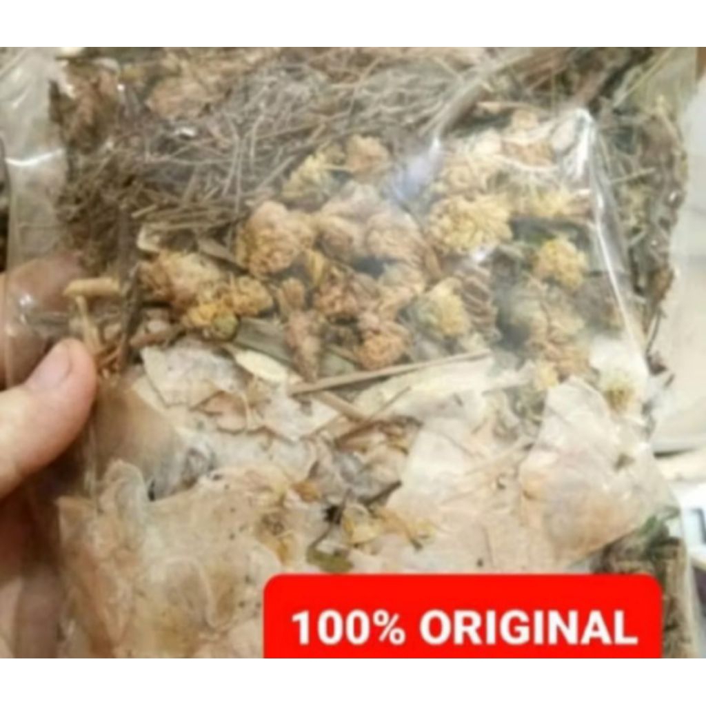 Liang teh bagan / liang teh