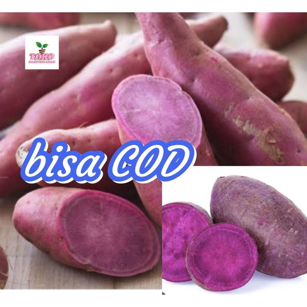 

umbi jalar umbi ungu segar 1 kg