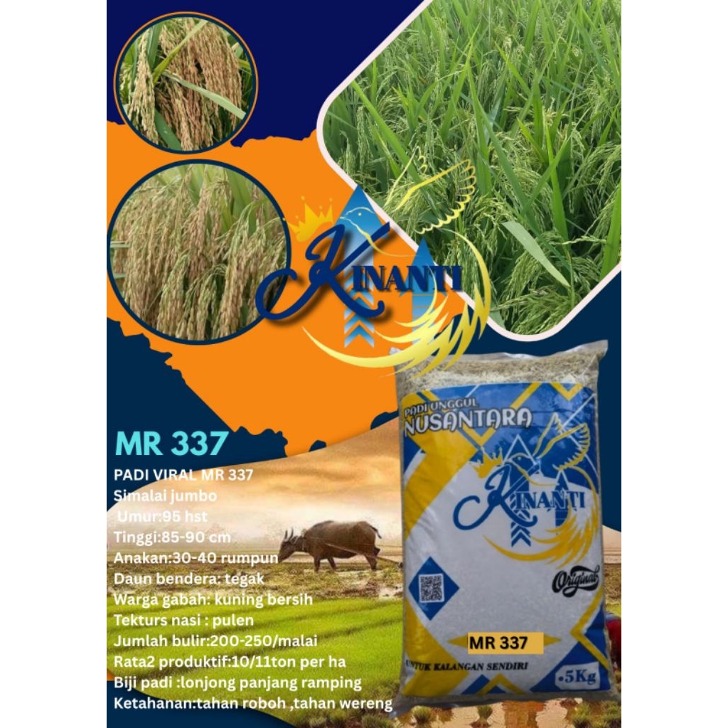 BENIH PADI MR 337 Kemasan 5 KG