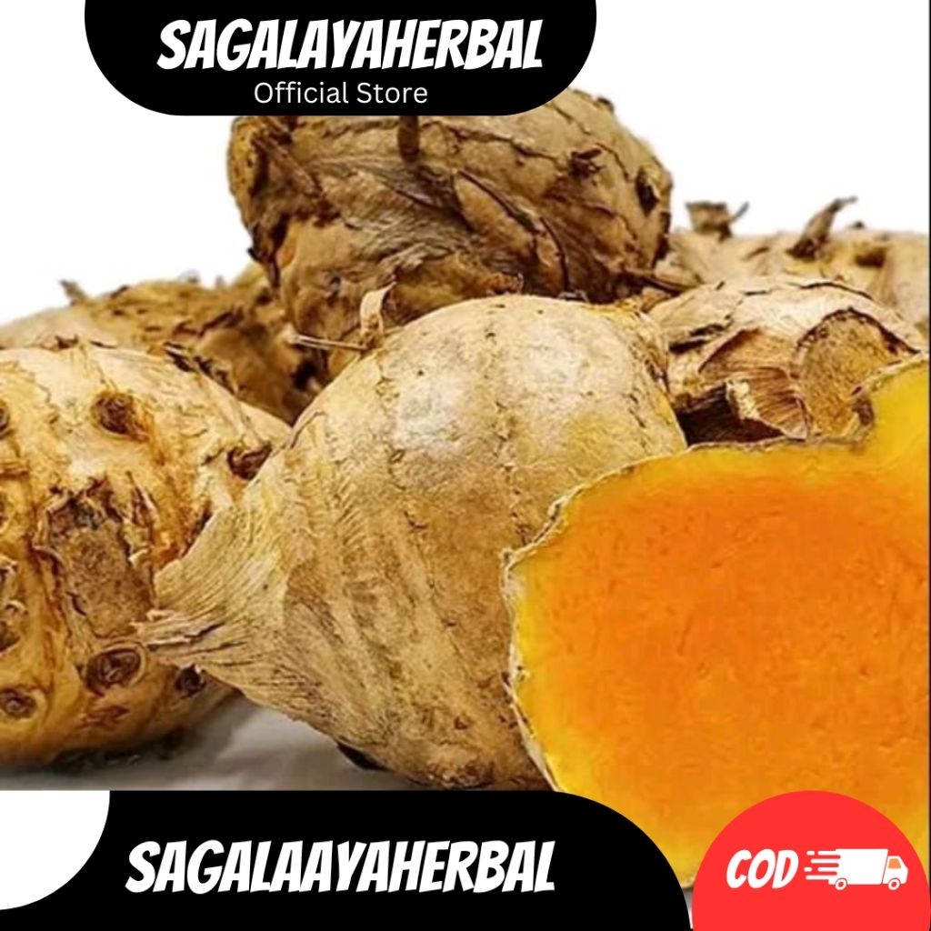 

TEMULAWAK SEGAR FRESH CURCUMA 1KG